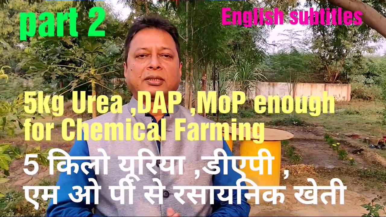 (भाग -2 ) 5 किलो यूरिया, डीएपी ,एम ओ पी ,से रसायनिक खेती OWDC