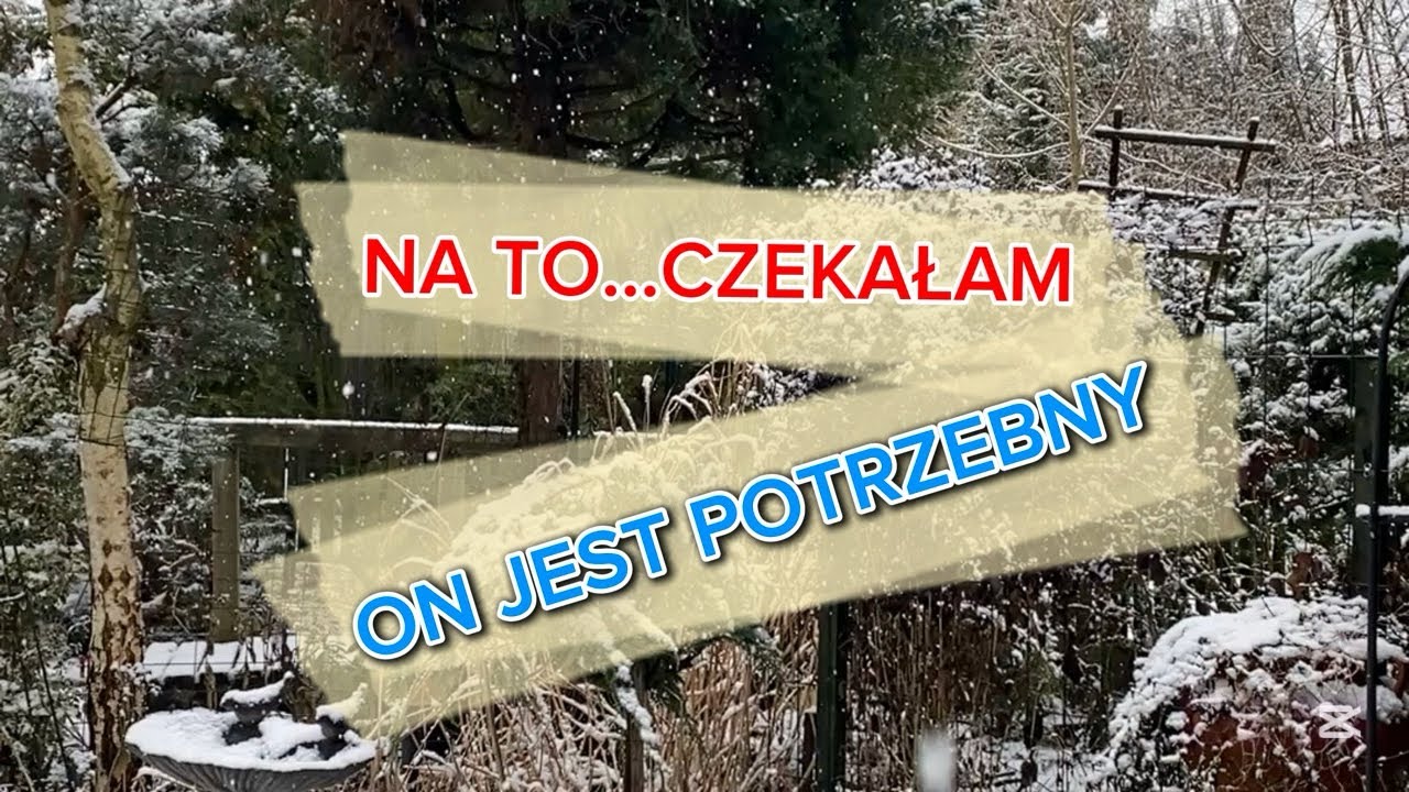 SPACER🍂ZIMOWY KLIMAT ze szronem i śniegiem