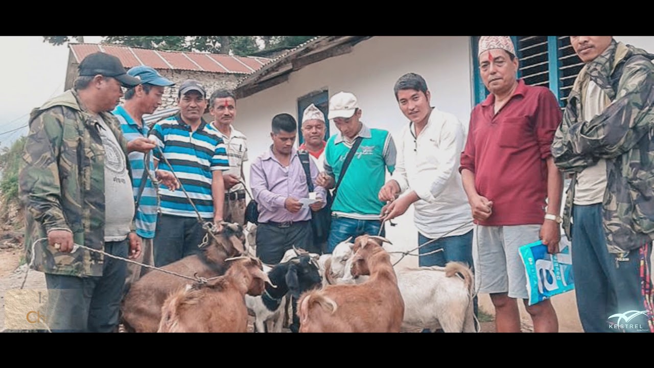 Mahashila Rural Municipality,Parbat