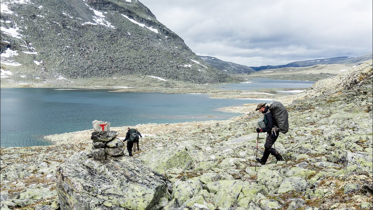 Expedition 2019 Dovrefjell Norway   Extended Version