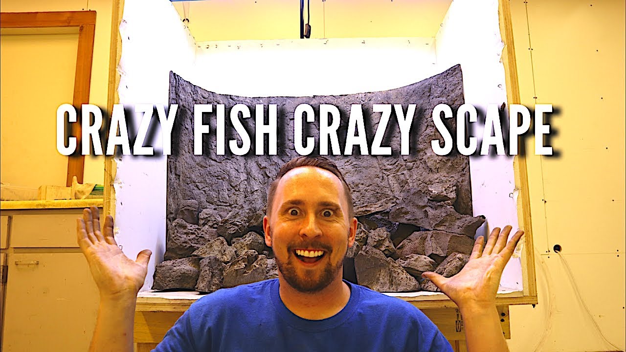 Scaping a tank for a CRAZY MIX of Cichlids | Jay Wilson