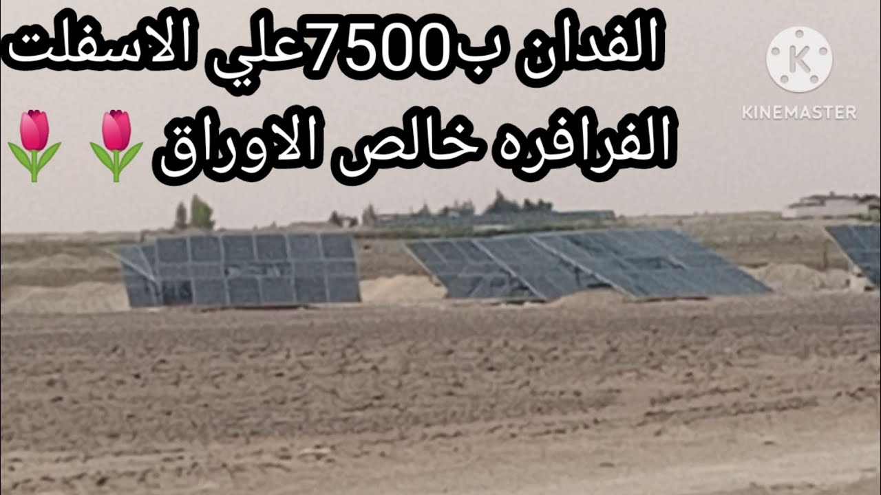 الفدان ب7500جنيه خالص الأوراق ودفع قسطين وشاهد المتعاقد إللي دفعوا قسط باسمهم في الدولة ،الفرافره