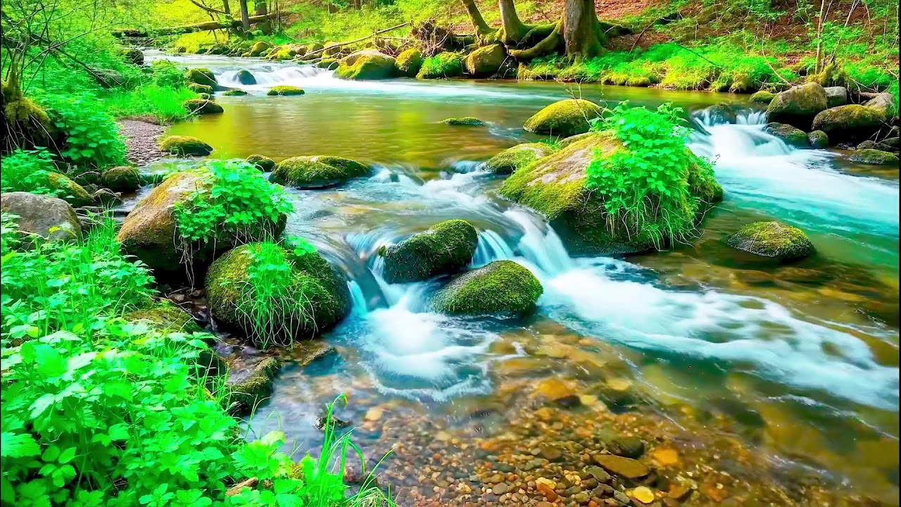 Natural River Sound for Deep Sleep | Stress Relief Audio for Health & Mindfulness
