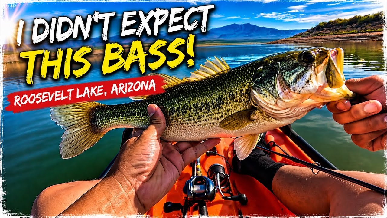 Kayak Fishing & Exploring Roosevelt Lake | Arizona Adventure