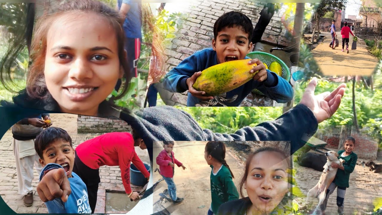 देसी व्लॉग गाँव में पपीता तोड़ना और आज की मस्ती Indian Village Vlog | Papaya from Farm & Daily Life