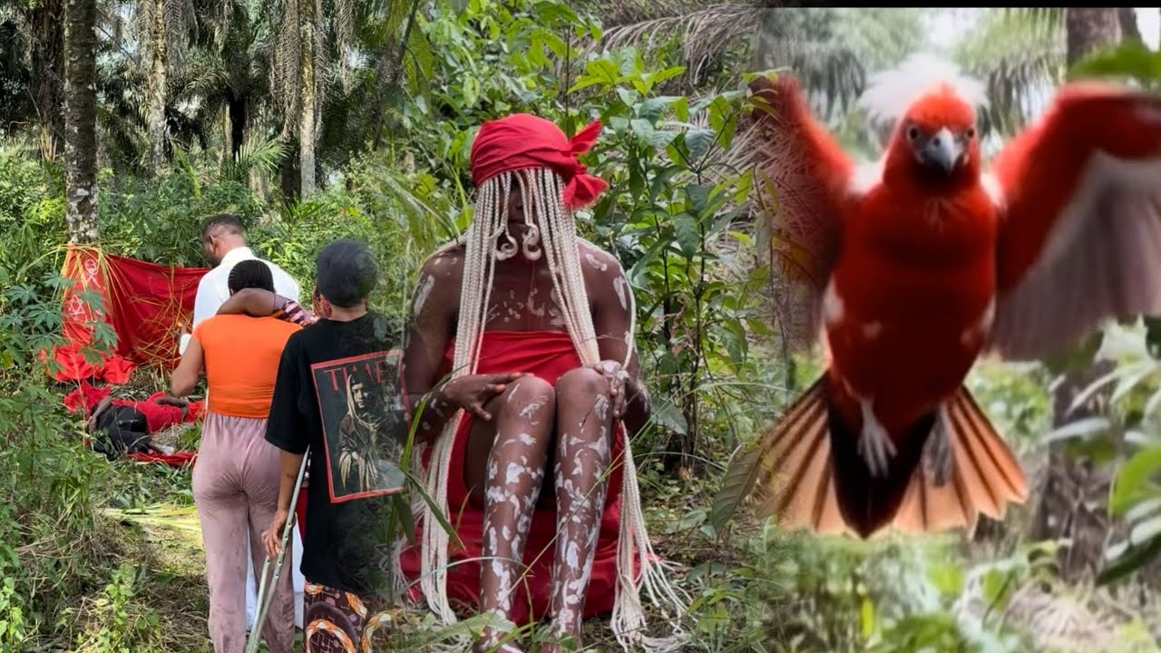 Any evil bird monitoring our destiny this 2026 will die IJN apostle fabulous did the unbelievable 