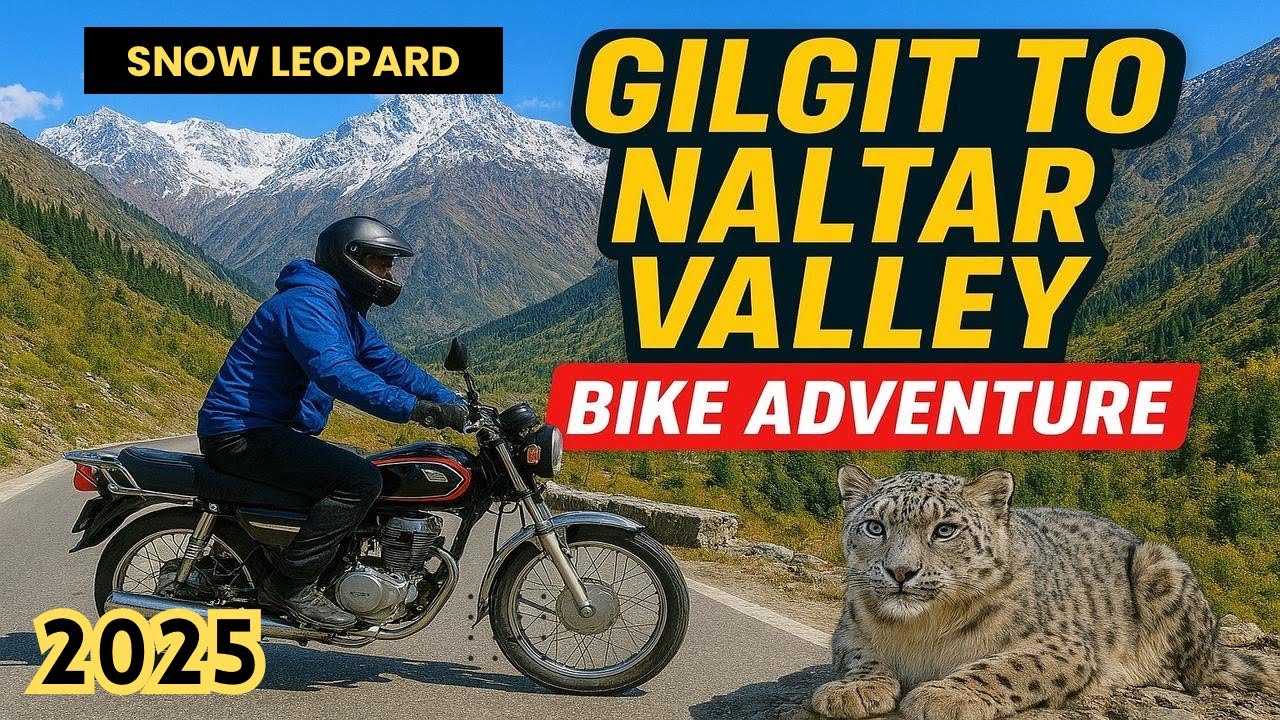 Gilgit to Naltar Valley road | naltar valley Ski Point, Zero Point & Snow Leopard 