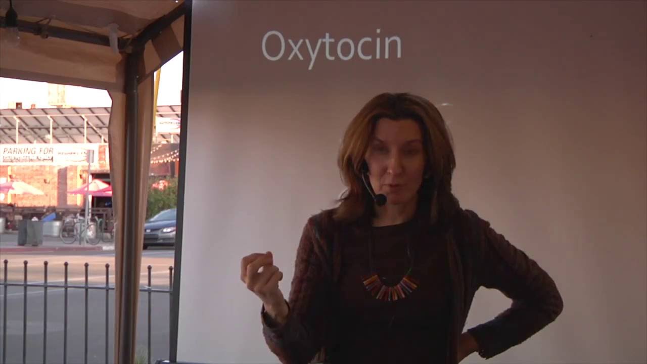 Your Brain on Drugs, UA Science Caf&eacute; Series, Katalin Gothard