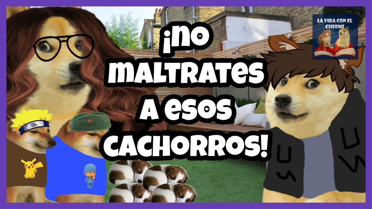 MADRE PSICÓPATA EXIGE que su hijo pueda MALTRATAR a unos CACHORROS | Hilos con Cheems