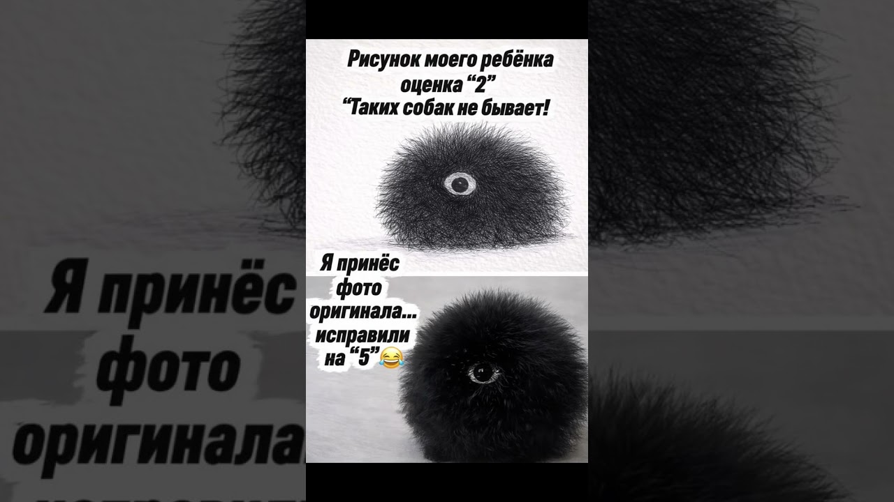 😂😂😂 #анекдоты #юмор #смешновидео #ржачныевидео #прикол #смешнойшортс #мем #шуточное #смех #funny