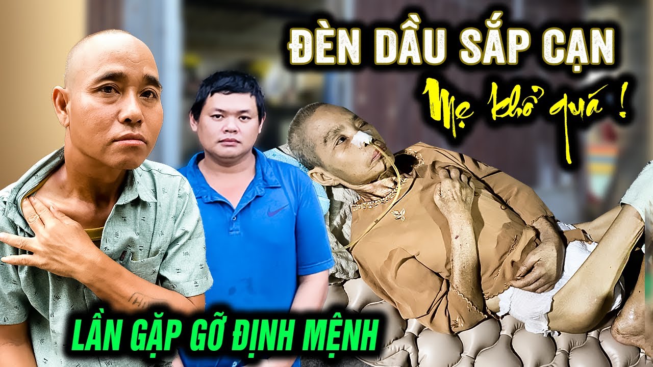 🔴 Gon 'cổ rắn' chạm mặt người mẹ 'hóa đá' phút cuối đời. Tình cảnh bi đát xem mà khóc