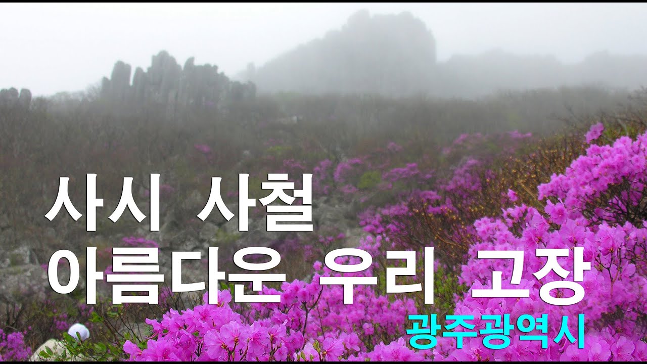 사시사철 아름다운 우리 고장 - 구영웅 사진 - 광주광역시 -Korea's Gwangju with four beautiful seasons - 四季美しい韓国の光州