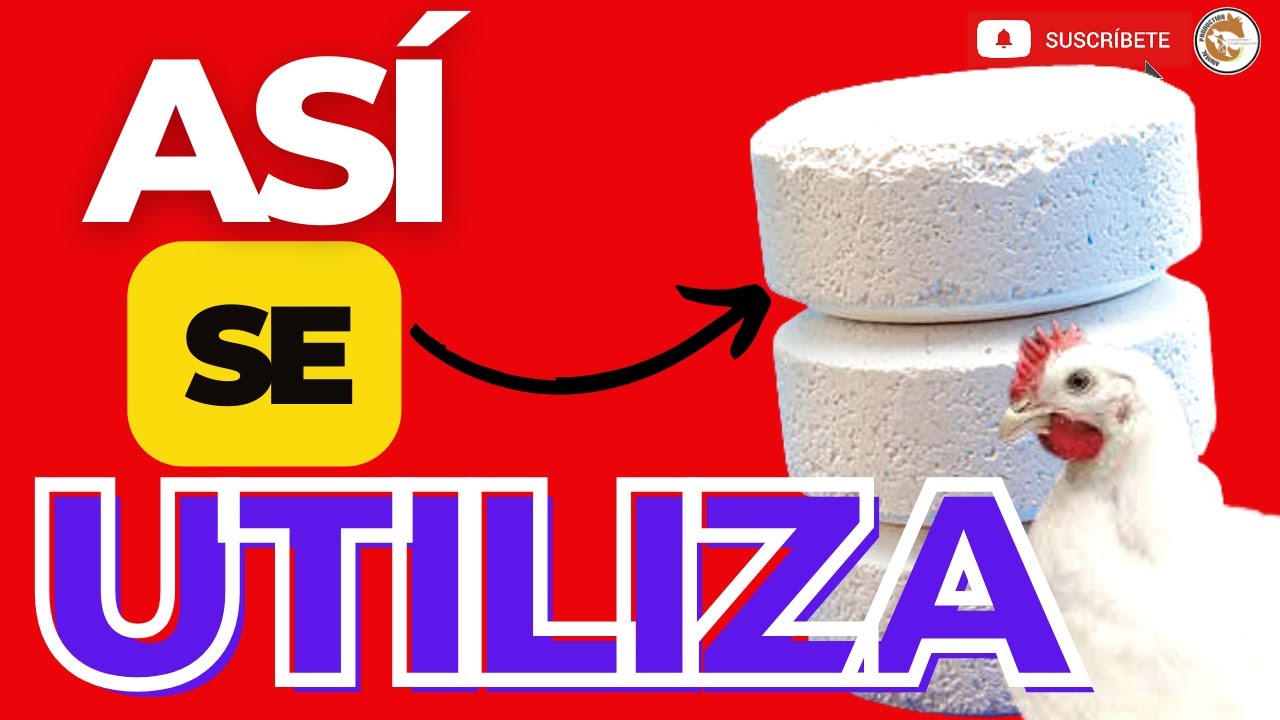 😁 QUE CANTIDAD DE CLORO POR LITRO DE AGUA EN LOS POLLOS DE ENGORDE 🥇