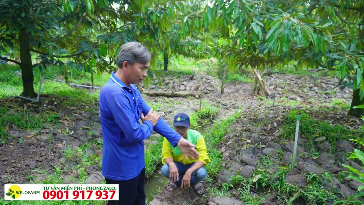 Các bước chuẩn bị trước khi làm bông sầu riêng