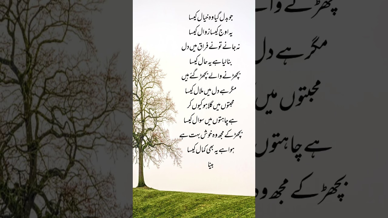 deep lines poetry || new urdu ghazal by bina #poetry #urdupoetry #ghazal #shorts