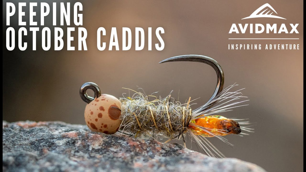 How to tie the Peeping October Caddis | AvidMax Fly Tying Tuesday Tutorials