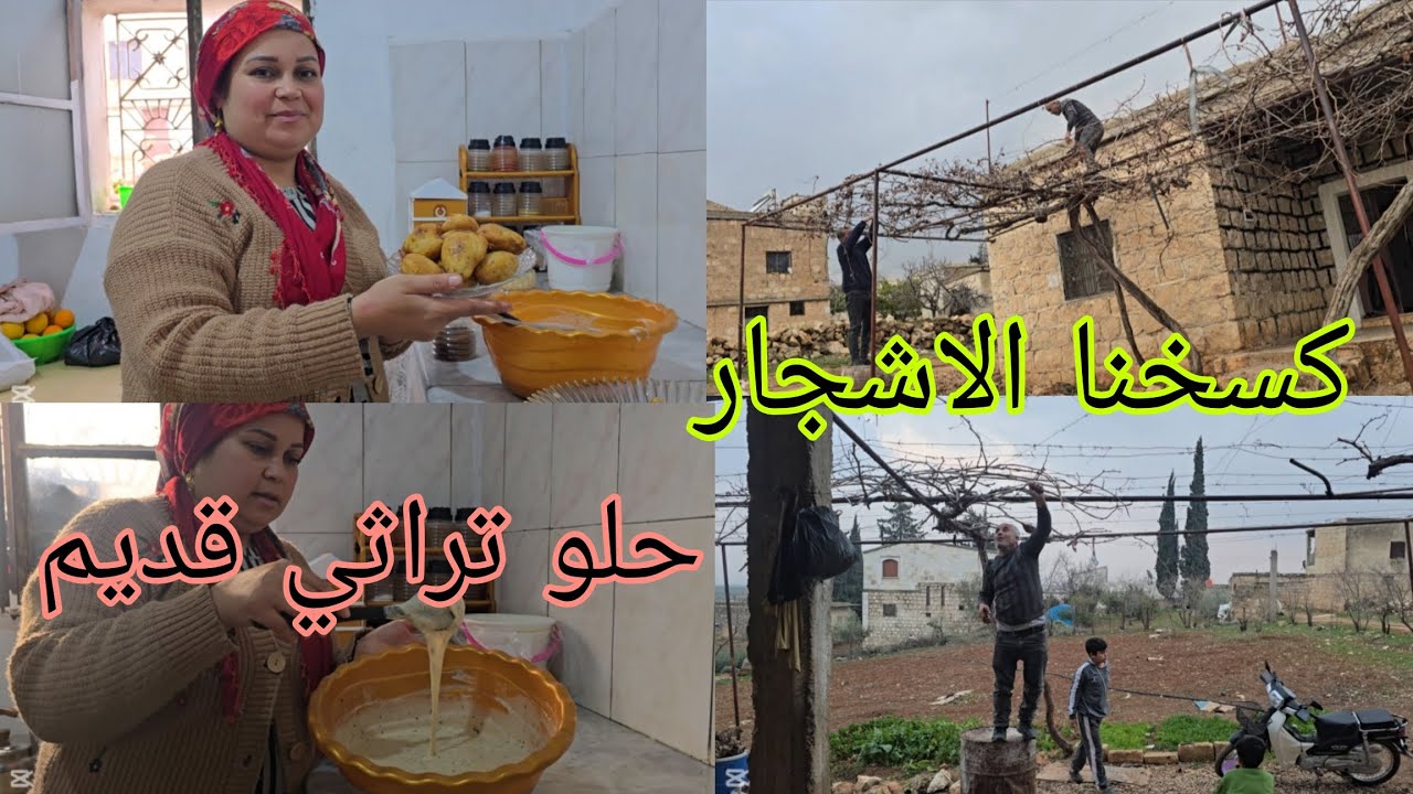 كسخنا اشجار ورق العنب طريقه حلو تراثي عفرين قديم ما اجواء الضيعه #اكسبلور #قناه_ام_رودي 