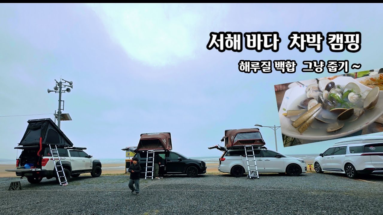 서해 차박캠핑 #몽산포청솔 캠핑장#해루질#  아이캠퍼#루프탑#차박캠핑#백합 줍기