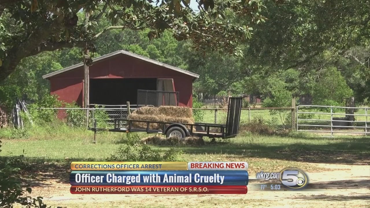 Detention deputy charged with animal cruelty in Santa Rosa County