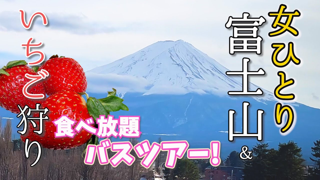 【女ひとり日帰りバスツアー】いちご狩り食べ放題ツアーに今年も参加！大好きな富士山も見れて大満足！フルーツ王国山梨に魅了される