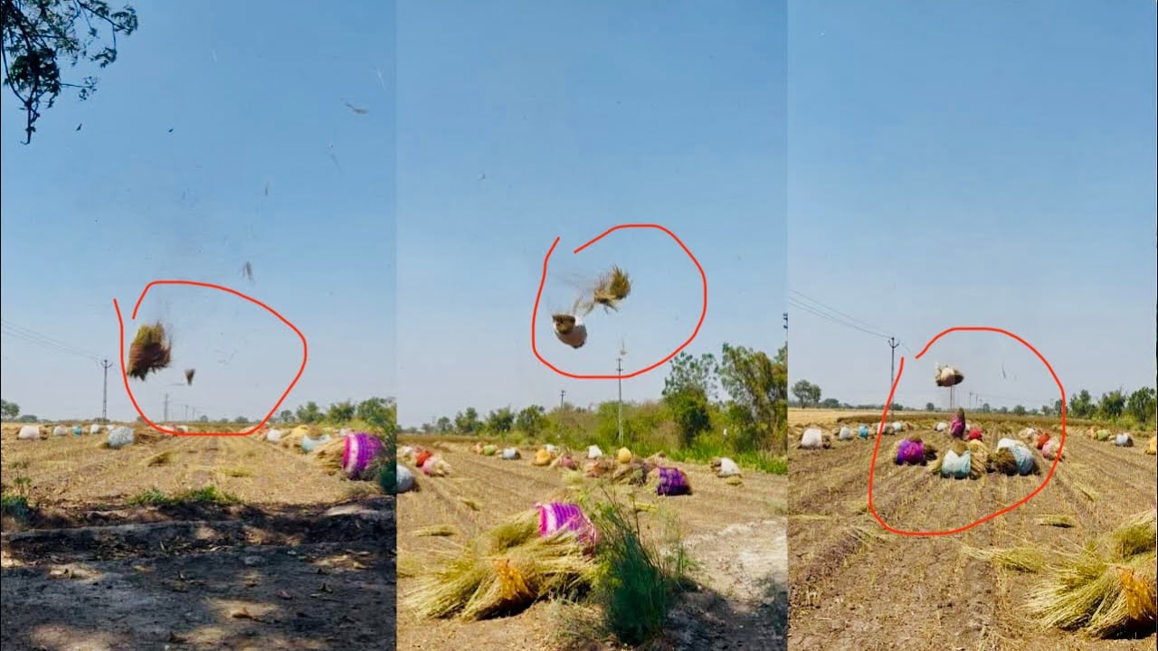 ધાણા ની ભારીઓ ઉડાડી દીધી 