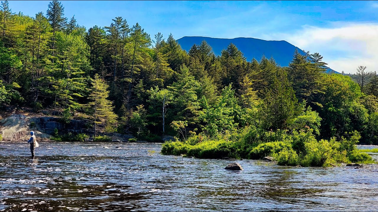 Incredible Fly Fishing Video!  | SHOCKING EXPERIENCE ON AMAZING RIVER!