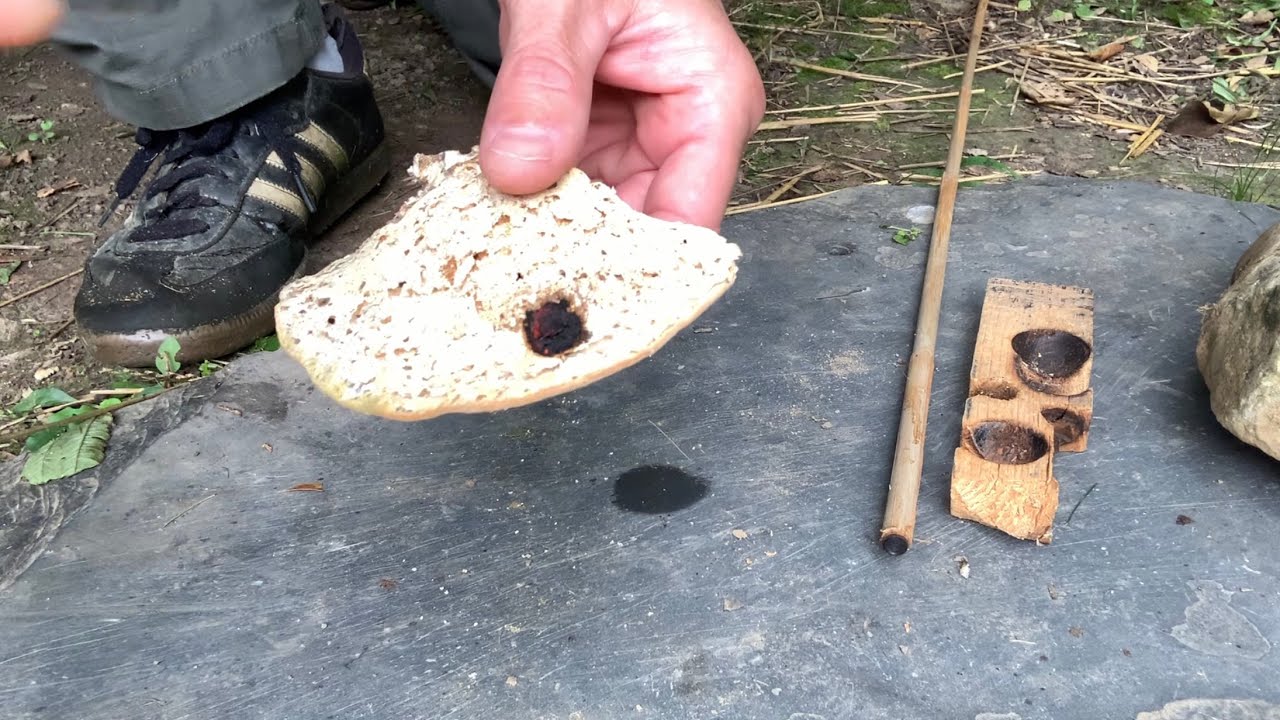 Fungus Ember Catch & Coal Extender