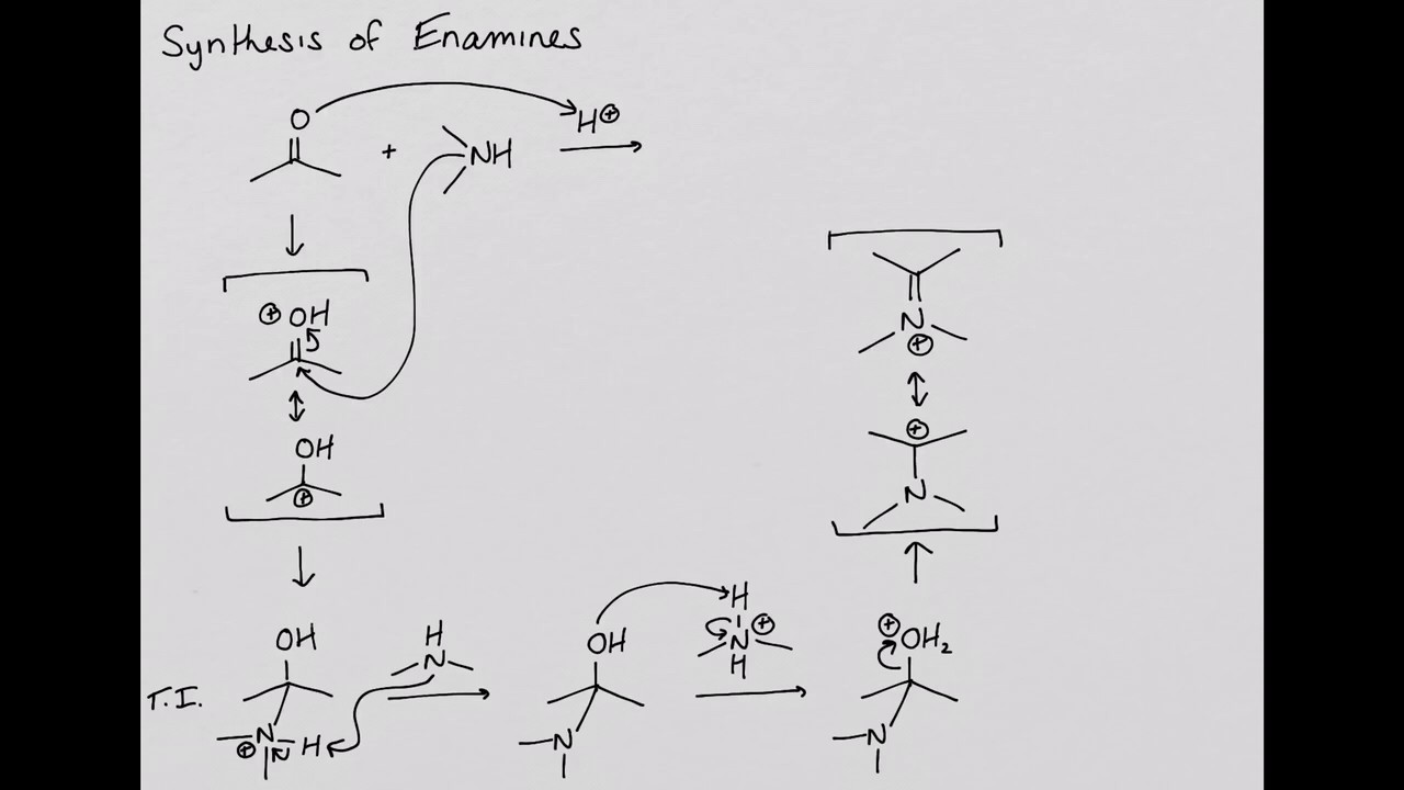 Alkylation of Enamines