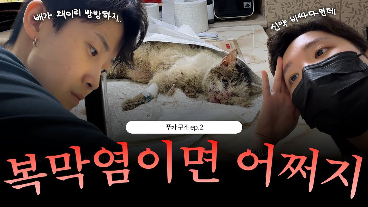 푸카 Ep.2) 자세히 보니 애기 배가 빵빵하더라고요ㅣ레즈커플 브이로그 vlog