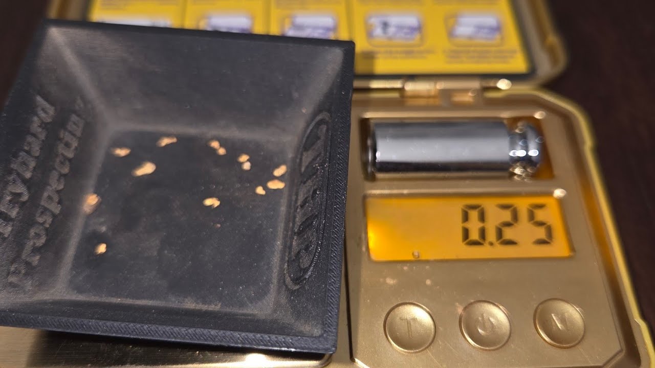 A bakers dozen with the Minelab gold monster 2000