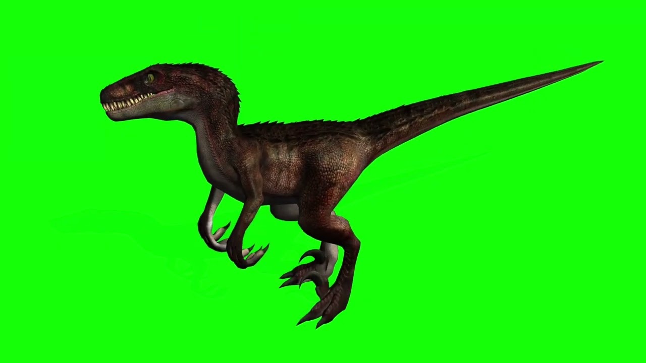 Dinosaur And cool one.s 😎😎😎