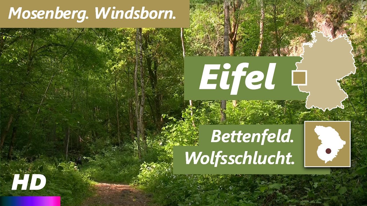 Eifel | Bettenfeld - Horngraben - Wolfsschlucht - Mosenberg - Windsborn - Hinkelsmaar | Wandern