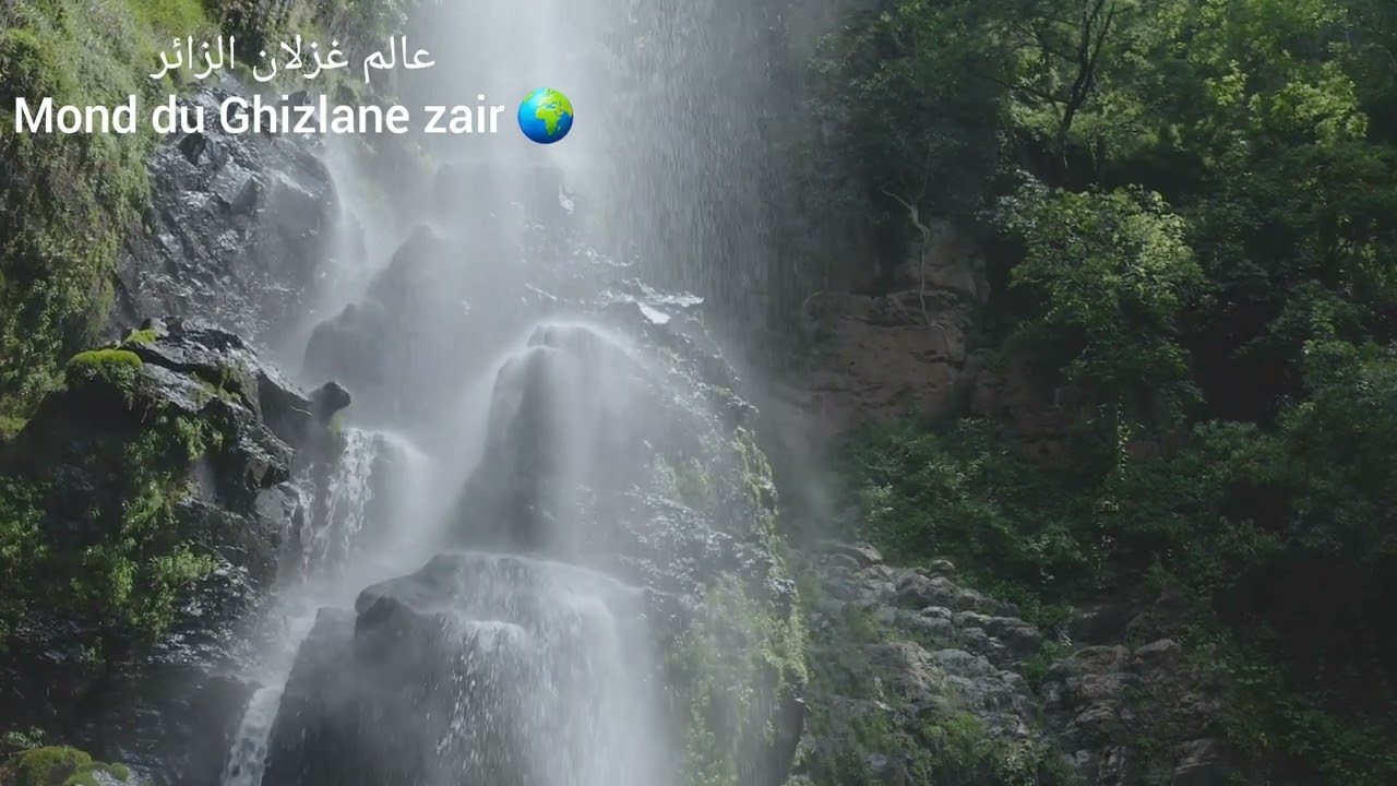 relaxing nature sounds and video