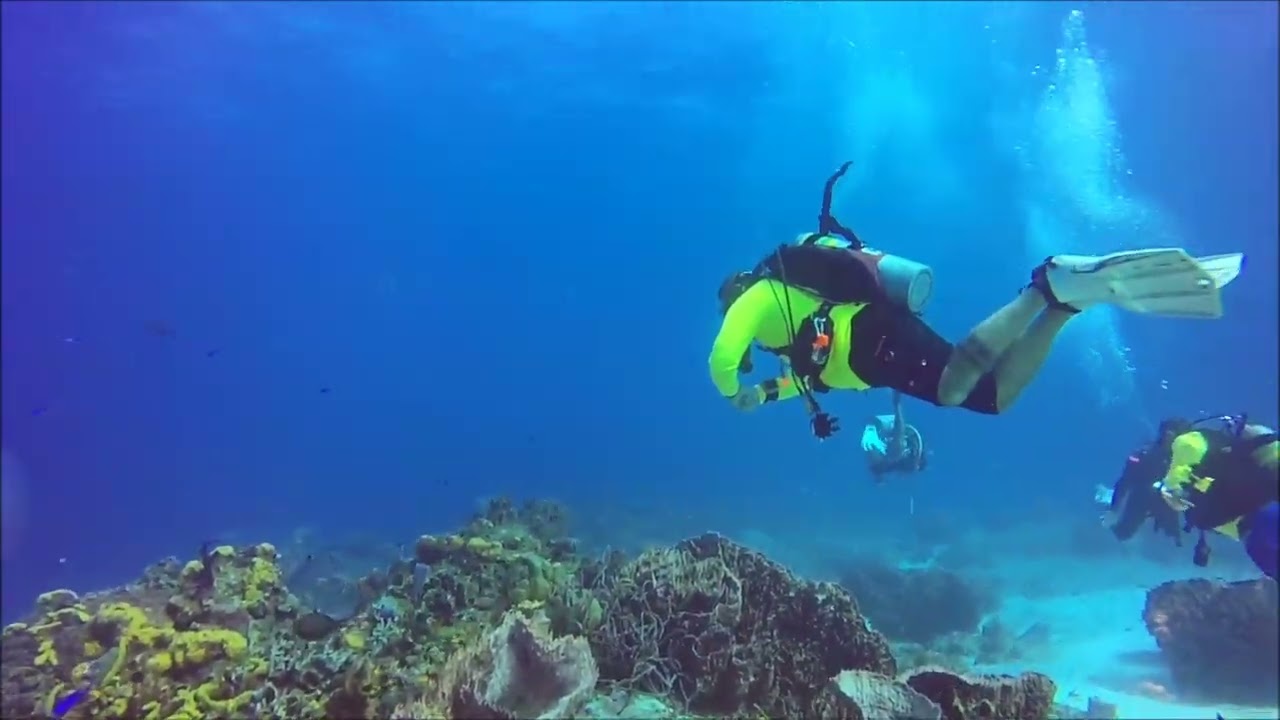 Fourth Dive Cozumel 2026