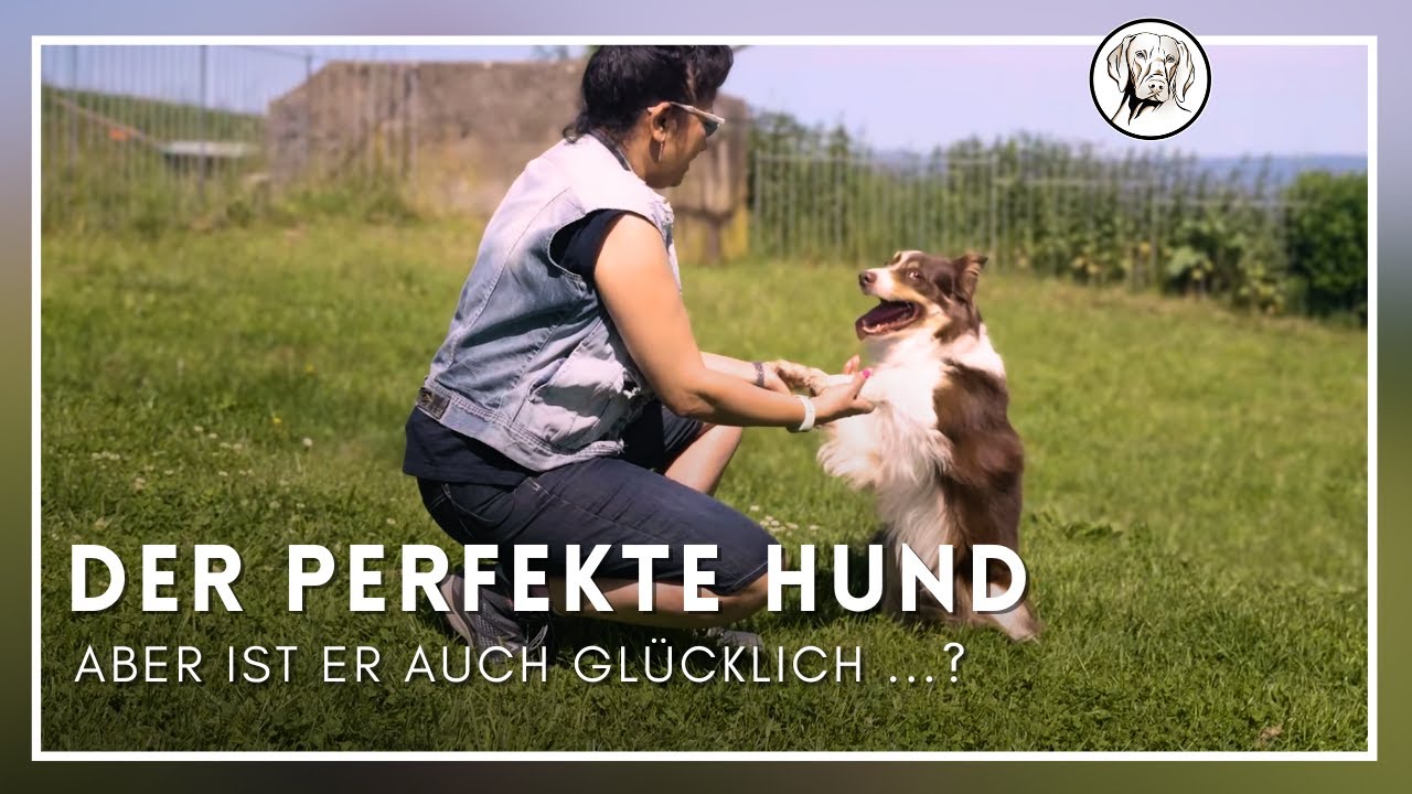 Funktioniert dein Hund wie er soll? Aber macht ihn das auch glücklich ...?