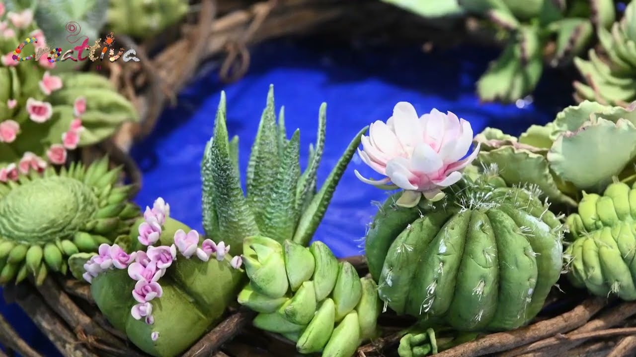 CREATTIVA CHANNEL - Chiara Stringhi  pianta grassa in porcellana fredda