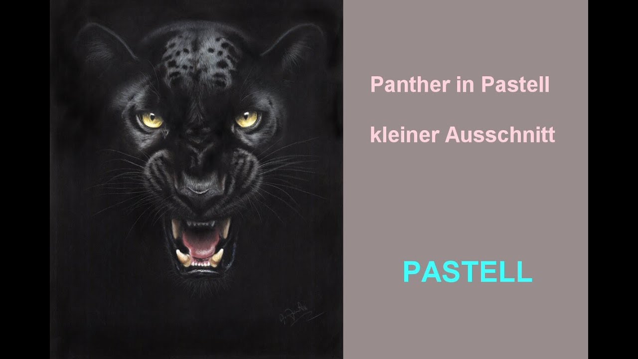 Panther in PASTELL zeichnen - kleiner Ausschnitt