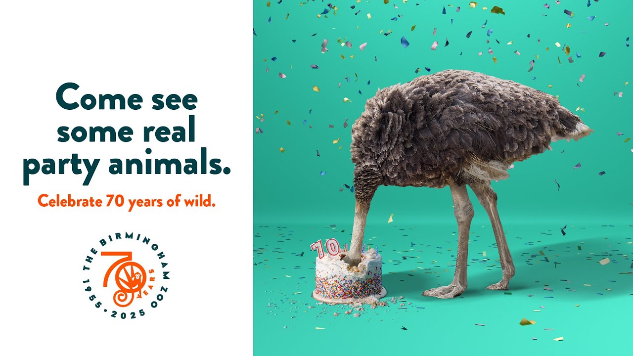 The Birmingham Zoo 70th Anniversary Case Study