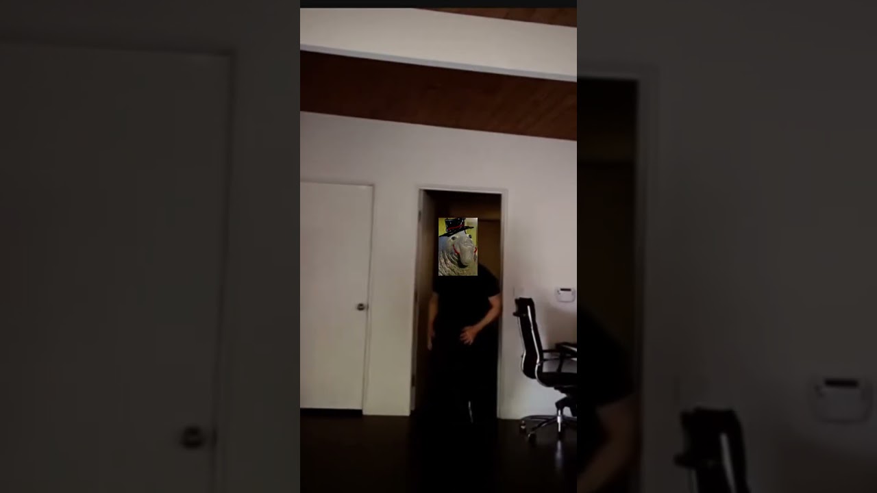 Get Punched by Cool Seal #coolseal #shorts