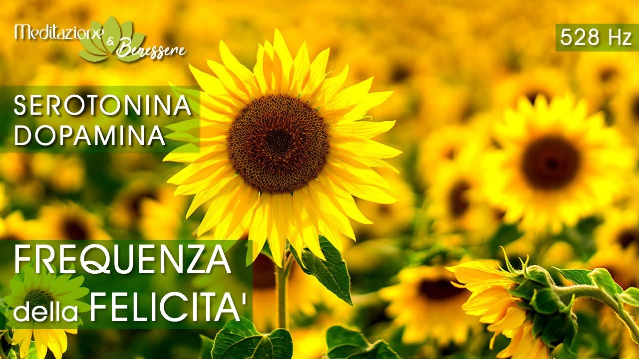 Attiva Serotonina e Dopamina | Felicit&agrave; e Benessere Interiore | Frequenza 528 Hz