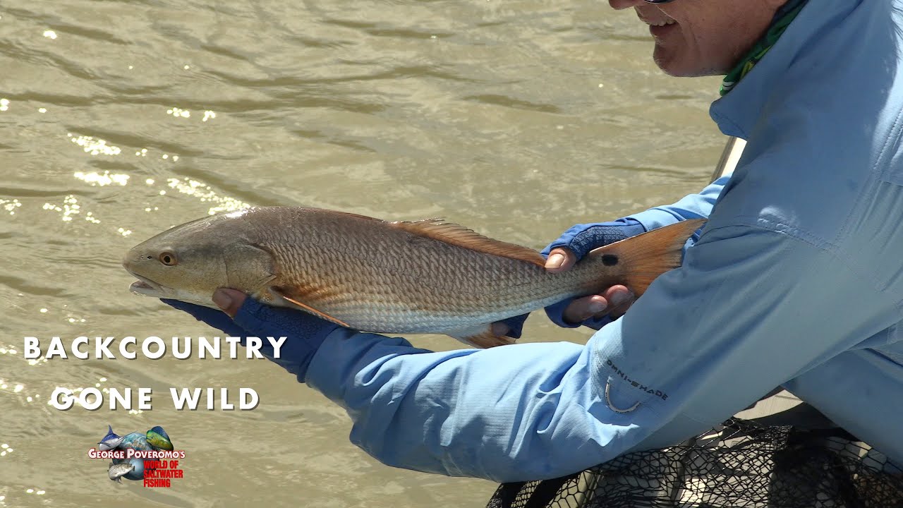 SNOOK & REDFISH, FLORIDA KEYS - 2022 SEASON - Episode 3; - 4K