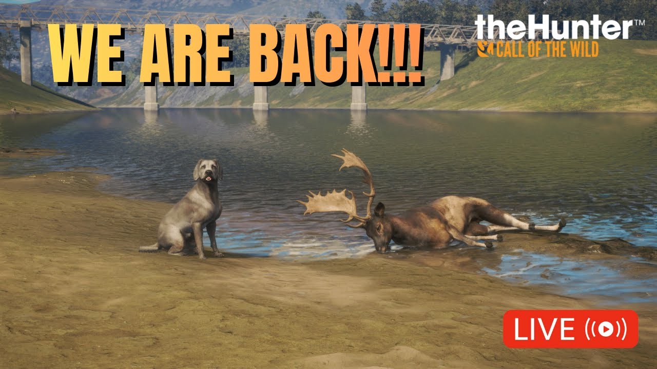 Hunting for TROPHIES  -  Hunter Call of The Wild