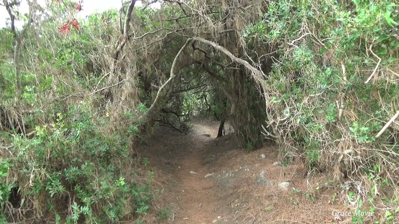 Sardegna 2025 -Arbatax -Tortolì-trekk Gorropu-ritorno- 12° ultima parte HD