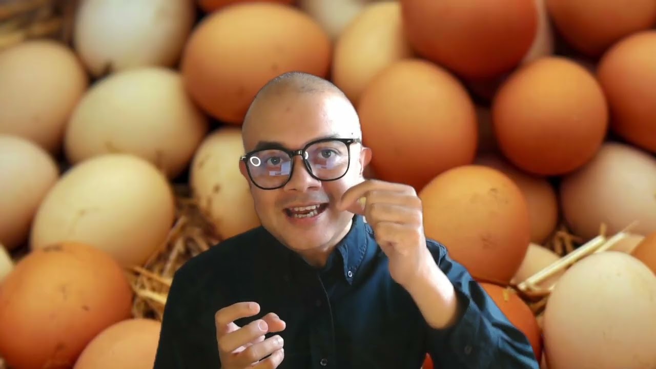 Science of Eggs: White vs Brown, why not to wash, and why not to store on the fridge door