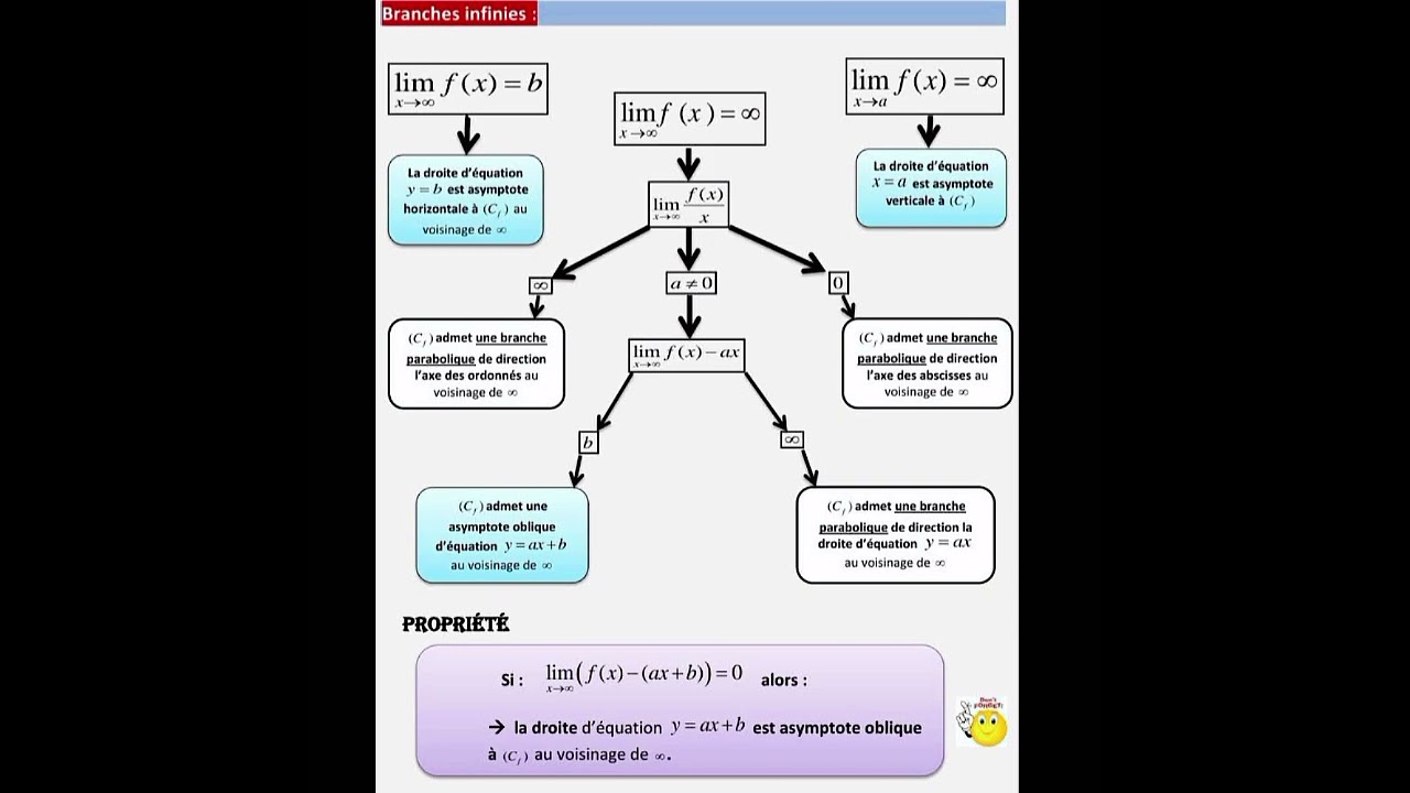 Branches Infinies & Limites : D&eacute;cryptage Complet en Maths !