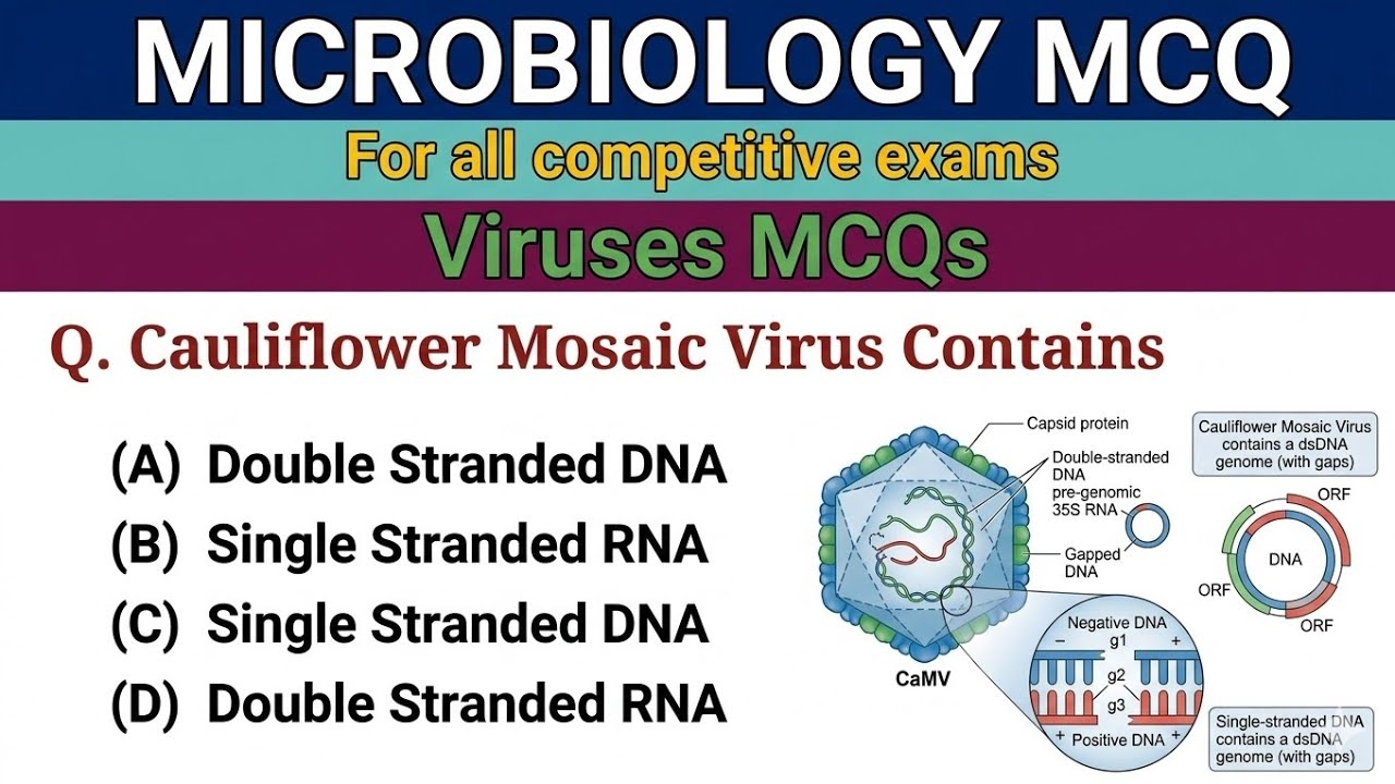 microbiology mcq questions answers || virology microbiology || microbiology mcq
