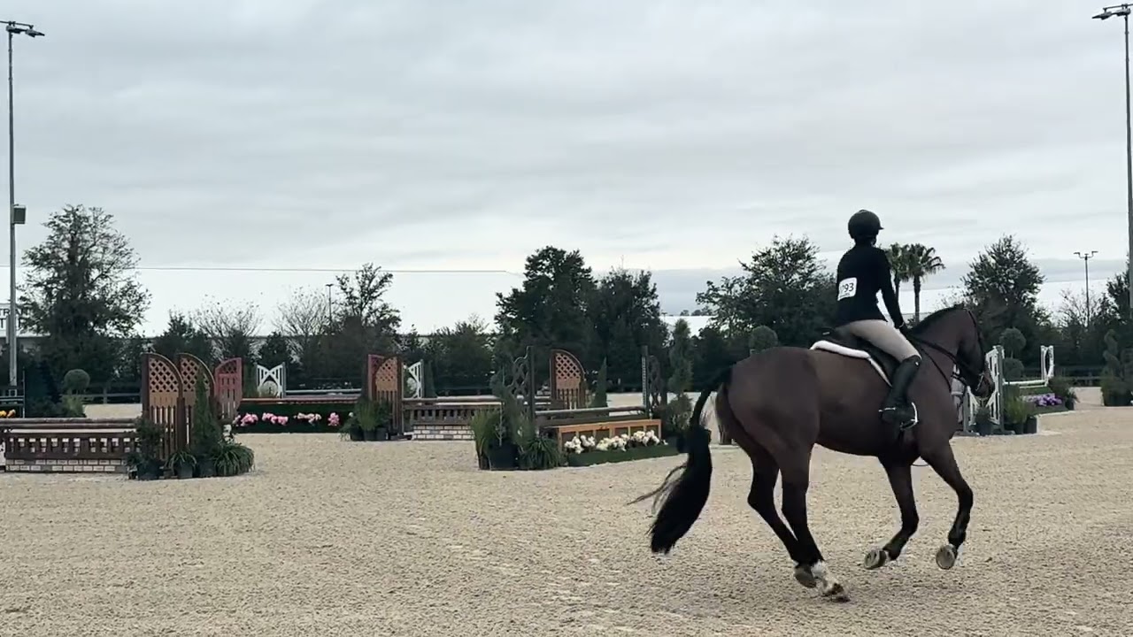 Le Balou HS