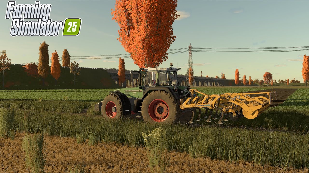 Early morning autumn field cultivation with Alpego Cayman  CF | FS25 immersive gameplay |