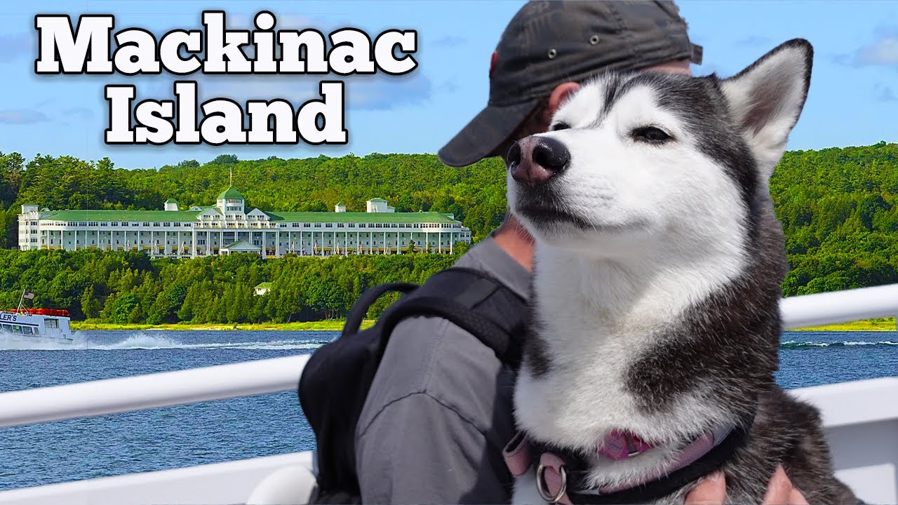 My Dogs Adventure on Mackinac Island