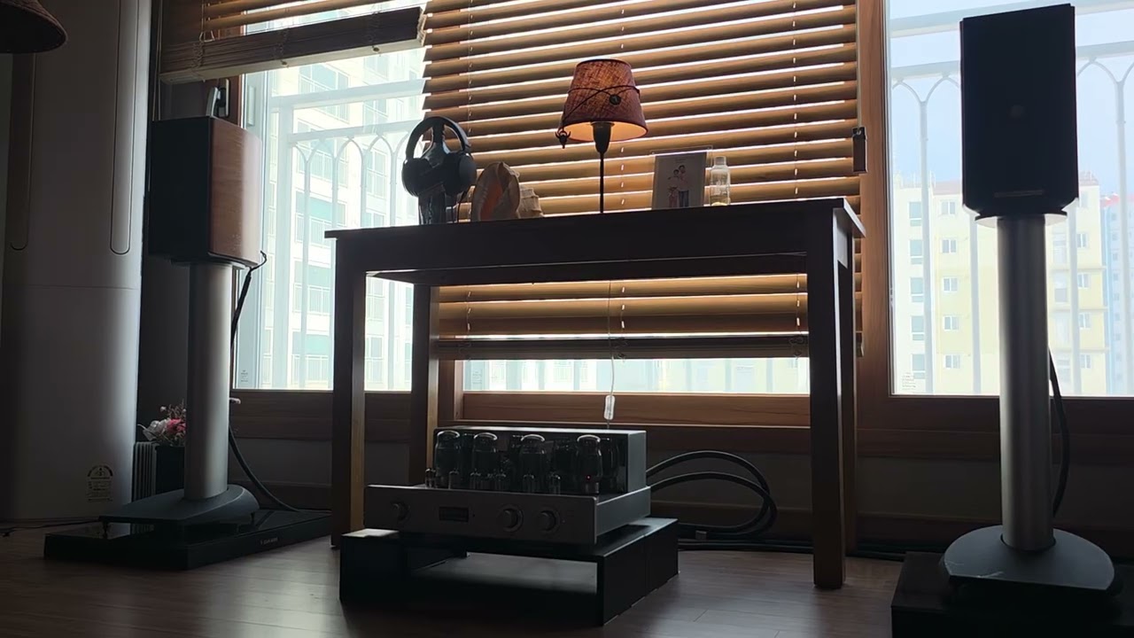 Einstein Speaker Cable / Anneca
